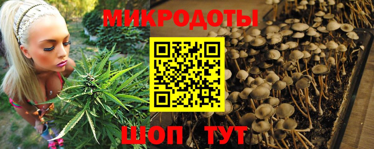 Псилоцибиновые грибы мухоморы Жуковский